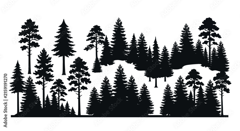Fototapeta premium Coniferous forest silhouette against a white background depicts a dense woodland scene