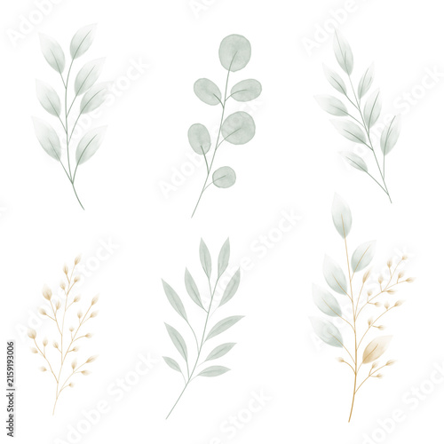 Watercolor Floral Vector Elements Set with Delicate Flowers Leaves and Botanical Frame
