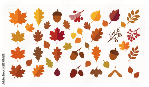 Falling Autumn Leaves Collection with Maple Oak Acorns and Berries Modern Vector Set