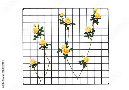 Tapety artystyczne Colorful cartoon bees buzzing around a hexagonal grid pattern
