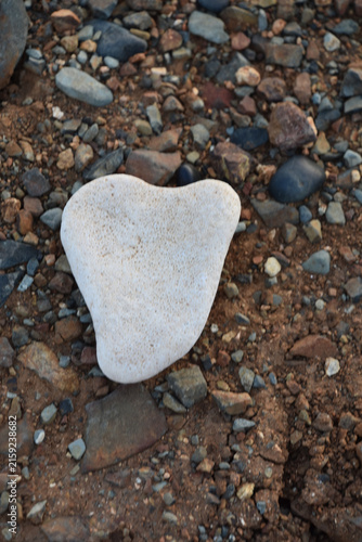 Natural White Heart Rock Found on Coastal Beach
