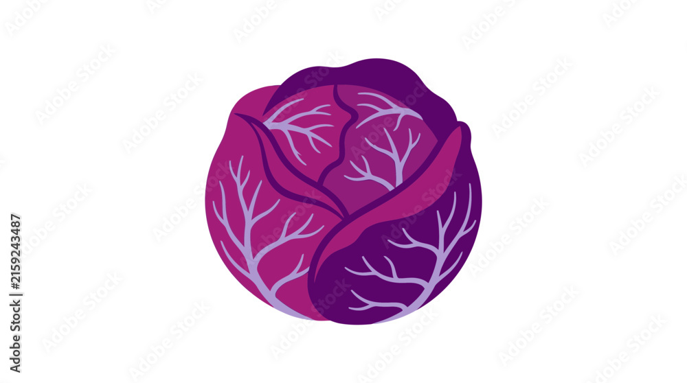 Obraz premium Vibrant red cabbage vector illustration featuring layered organic leaves in a flat minimalist graphic art design