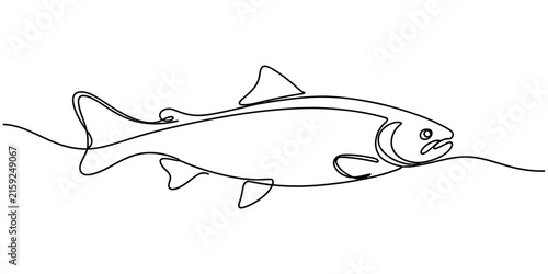 Continuous single line drawing of a salmon fish swimming in a simple minimalist style isolated on a clean white background for modern graphic design Vector, illustration
