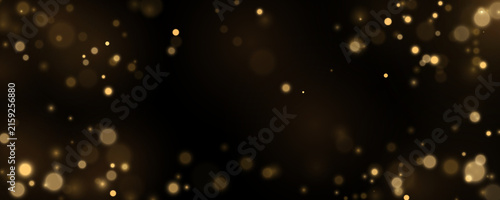 Cuadro en lienzo Soft golden bokeh glows in a dark atmosphere