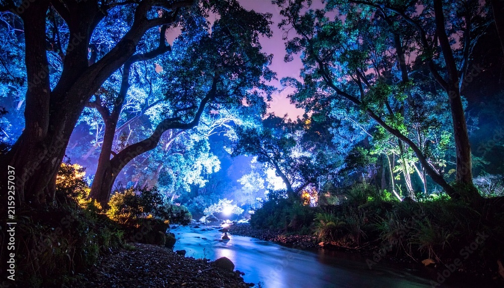 Fototapeta premium Enchanting Blue Forest Landscape with a Flowing Stream at Night