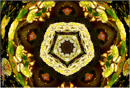Fotografie An intricate kaleidoscopic arrangement of flowers creates a symmetrical pattern
