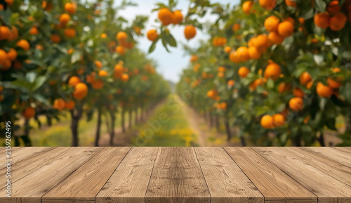 A rustic wood table top with an orange grove behind it, featuring bright oranges and green leaves in a sunny environment.