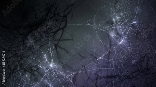 Eerie dark background with intricate cobweb and spider web details.