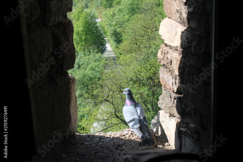 Photography Vranduk Fortress and its beauties