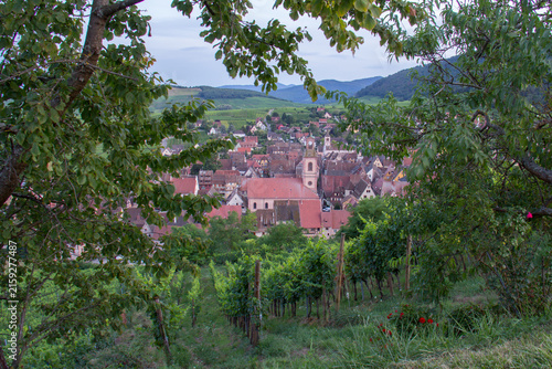 Blue Hour Summer Panorama of Riquewihr Village and Vineyards in Alsace, France