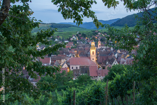 Blue Hour Summer Panorama of Riquewihr Village and Vineyards in Alsace, France