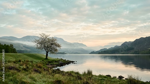Serene landscape with blossoming tree by a calm lake and misty mountains at sunset