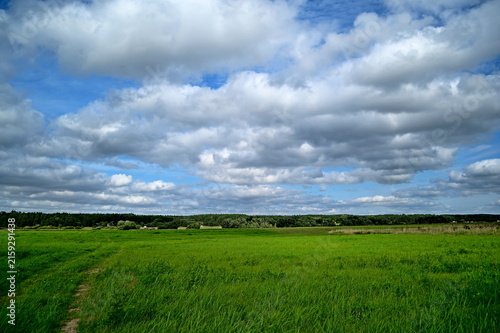 Canvas Print green field and blue sky