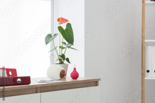 Knitted breast model with enema and flower on chest of drawers in gynecologis...