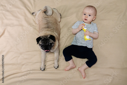 11 month baby boy and pug dog peacefully resting together. Pet and infant lying side by side naturally in harmony with joyful peaceful atmosphere. The concept of relationships between baby and pet dog