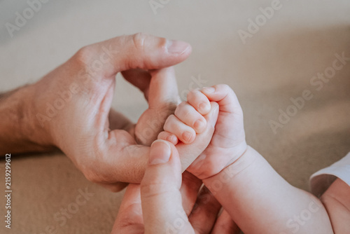 Softly cupped infant fingers within caring parents palms. Delicate baby hand cradled tenderly by experienced adult hands in soft lighting. Gentle parental contact creates safe haven with mom and dad