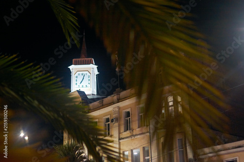 Night view of an illuminated clock tower with a spire. Blurred palm leaves in the foreground. Southern town architecture, nighttime atmosphere.