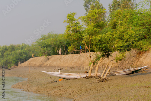 Foto Traditional wooden boats resting on the muddy riverbank of the Sundarbans, West Bengal, India, surrounded by lush mangrove vegetation and local village life