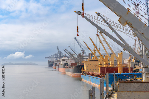 Row of large cargo vessels and bulk carriers docked alongside a busy port quay with industrial crane boom arms and calm coastal waters stretching towards the foggy distant horizon