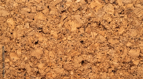 A close-up macro shot of a corkboard texture with its distinctive organic pattern and natural color. This surface is ideal for presentations, notice boards, or creative backgrounds.