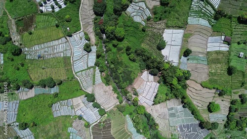 Aerial view of green fields and white plastic covers