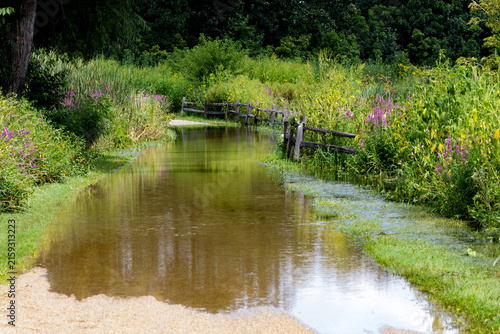 Canvastavla Flooded Nature Trail at Rollins Savanna After Heavy Summer Rain