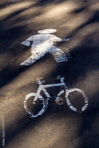 Pedestrian and cycle lane sign painted on a road in Sydney, New South Wales, Australia. Shared paths are great spaces where everyone can interact and enjoy the great outdoors.
