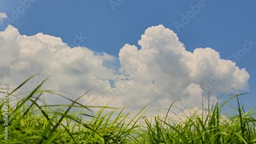 夏の入道雲と草原　阿蘇