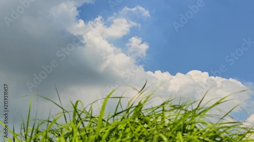夏の入道雲と草原　阿蘇