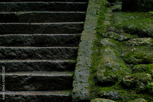 Zen wabi sabi concept, Green moss texture, Ancient stone steps, Japanese garden nature, Close up view of historic masonry overgrown with lush vegetation offering a peaceful background for wellness