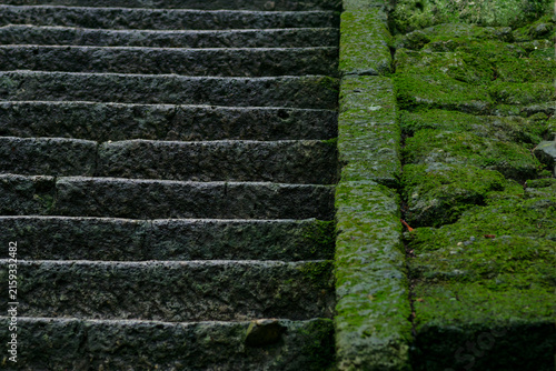 Traditional Japanese aesthetics, Historic masonry craftsmanship, Cultural heritage site Yamagata, Forest bathing shinrin yoku, Peaceful rural scenery featuring antique mossy steps in damp woodland