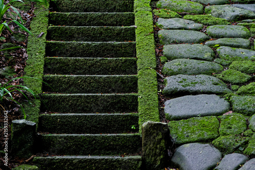 Yamagata Japan countryside, Historic stone staircase, Moss covered path, Japanese landscape, Rural travel destination, Ancient temple approach in forest expressing traditional culture and tranquility