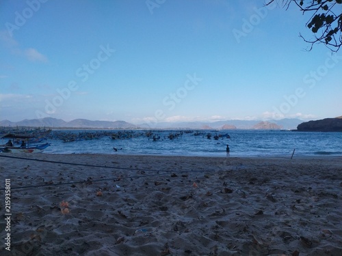 Scenic Coastal Beach with Calm Sea and Clear Blue Sky