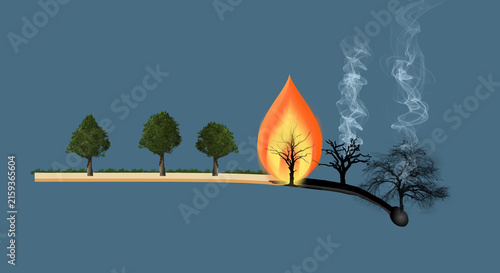 Fotografía A matchstick is transformed into a landscape to symbolize the destructive progression of a forest fire, transitioning from lush living trees to active flame, smoke, and burnt remains