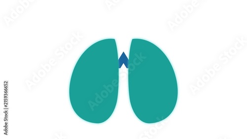 Human lungs icon showing respiratory organ process for medical diagnosis and healthcare