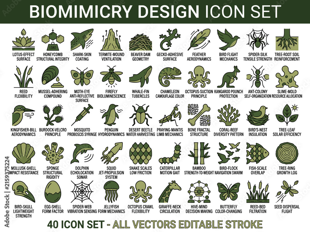 Obraz premium Diverse nature icons showcase various biomimicry designs for inspiring functional solutions across many industries