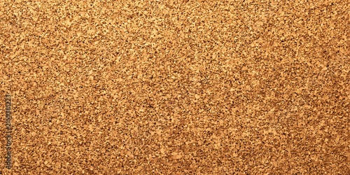 Closeup view of a textured surface resembling cork or granular earth