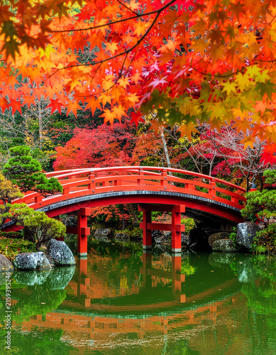 Fototapeta 赤い太鼓橋とカラフルな紅葉の日本庭園