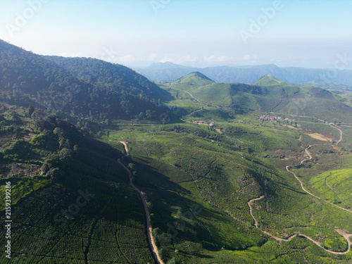 Aerial Landscape of Tea Valley and Distant Volcanic Peaks