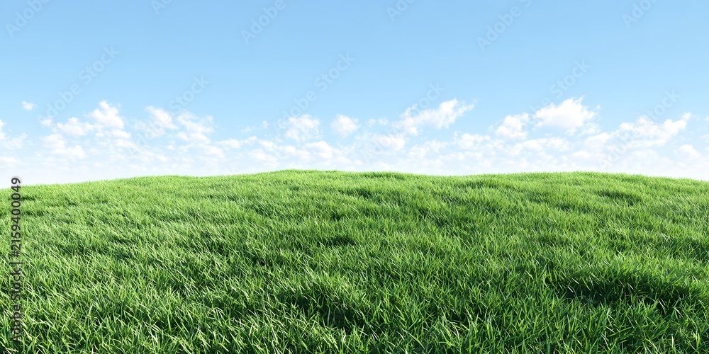 Obraz premium Vibrant green grassy hill slopes gently under a vast blue sky with soft white clouds.