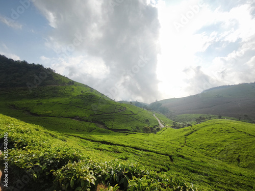 Bright Sky and Rolling Green Tea Hills in the Highlands