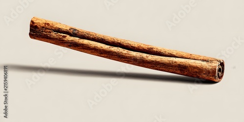 A single dried cinnamon bark roll rests on a light neutral background.