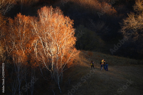 Canvas Print The grasslands of Inner Mongolia, China, in autumn