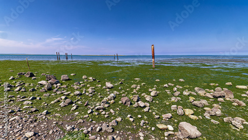 Low Tide in Dungeness Bay