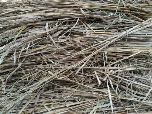 Quadro su tela close up of a straw bale