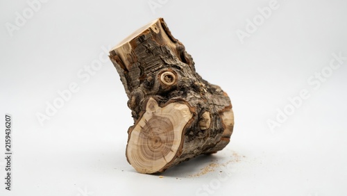 A piece of cut tree branch with rough bark isolated on white background