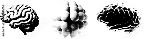 Set of Black and White Human Brain Vector Illustrations featuring Stippled Halftone and Distressed Textures for Medical or Creative Design