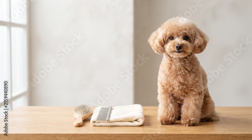 Cute Dog with Grooming Essentials in Clean Pet Care Setting