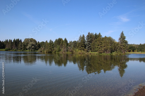 reflection of trees in the lake, William Hawrelak Park, Edmonton, Alberta