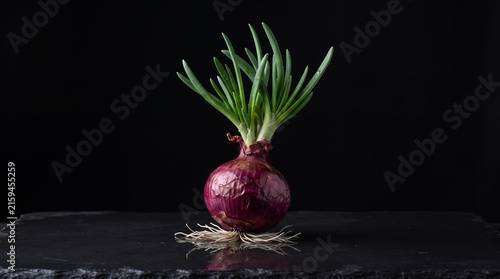 A ripe red onion with abundant green sprouts is centrally placed on a dark, textured surface.